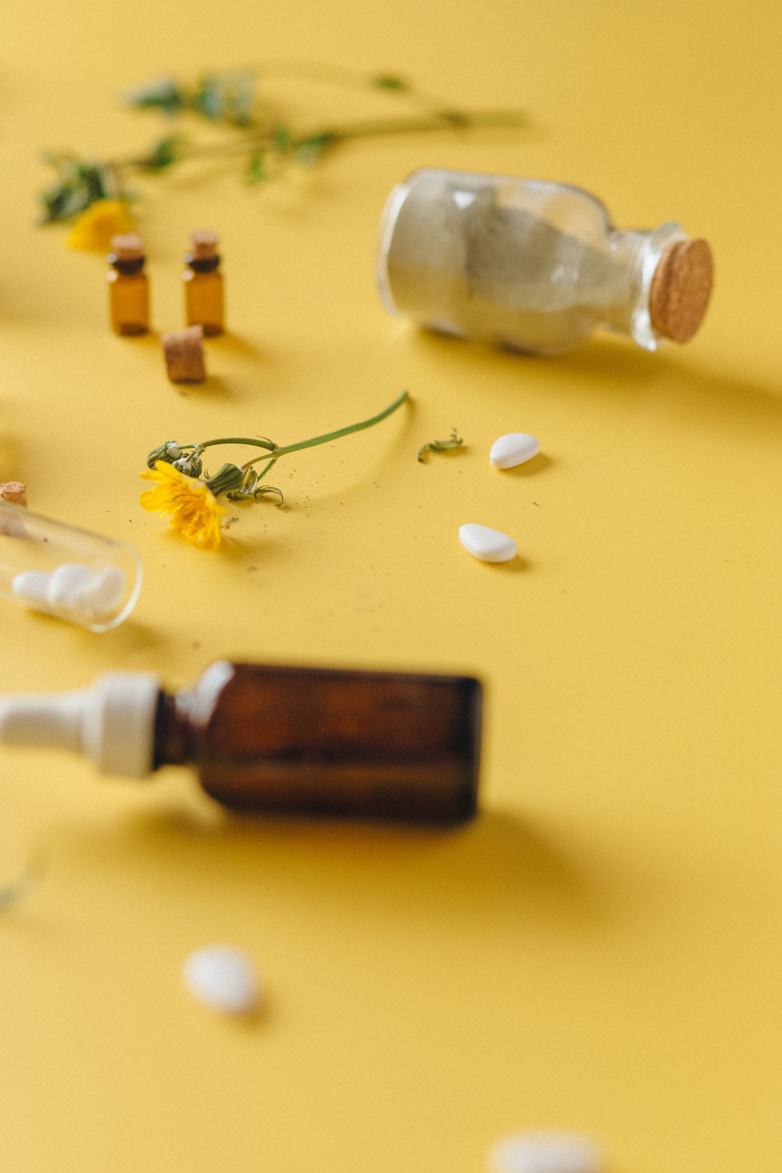Free Aesthetic display of medicinal herbs and pharmaceutical capsules on a yellow background.